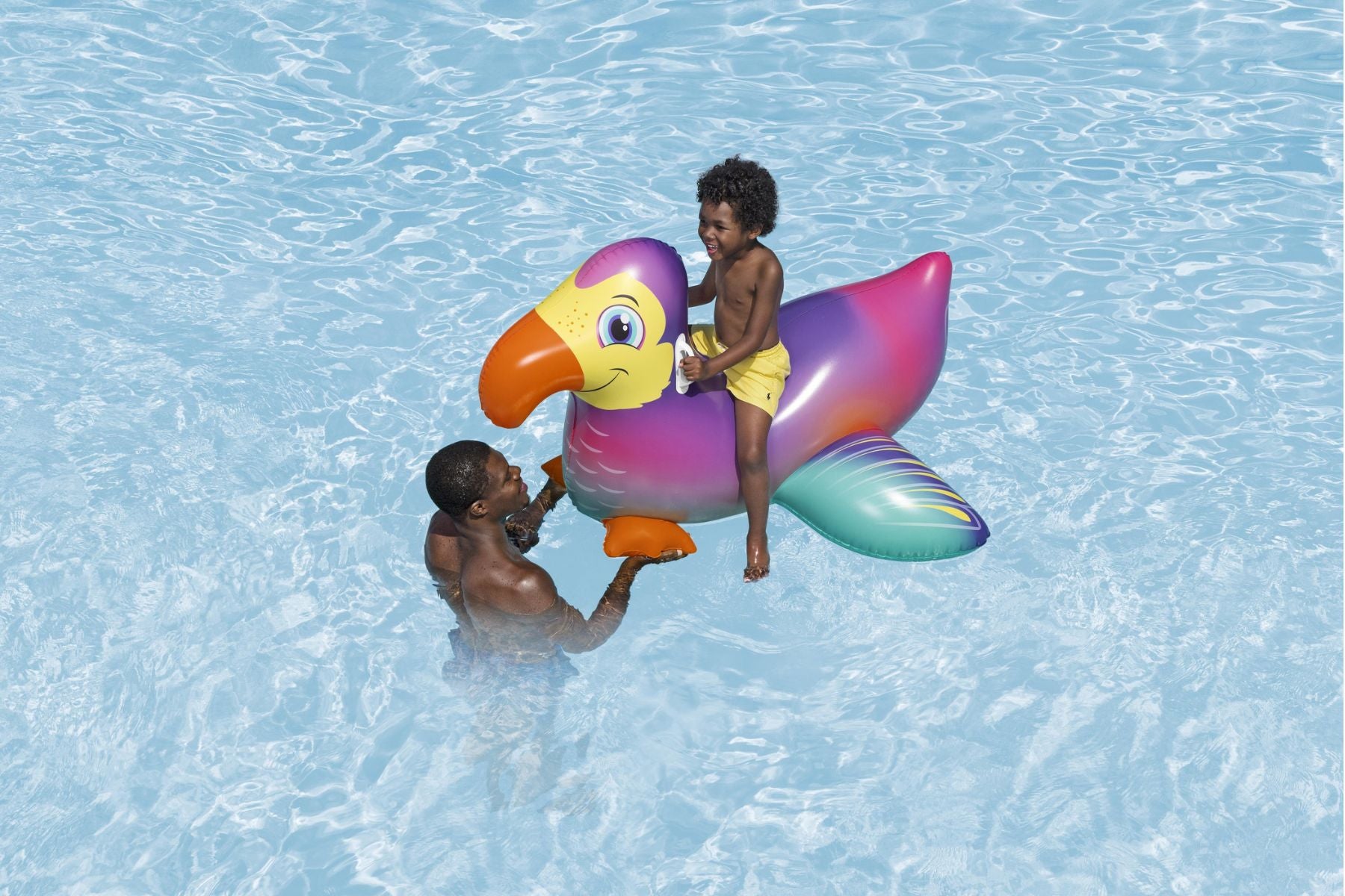 Inflatable Dandy Dodo Pool Float