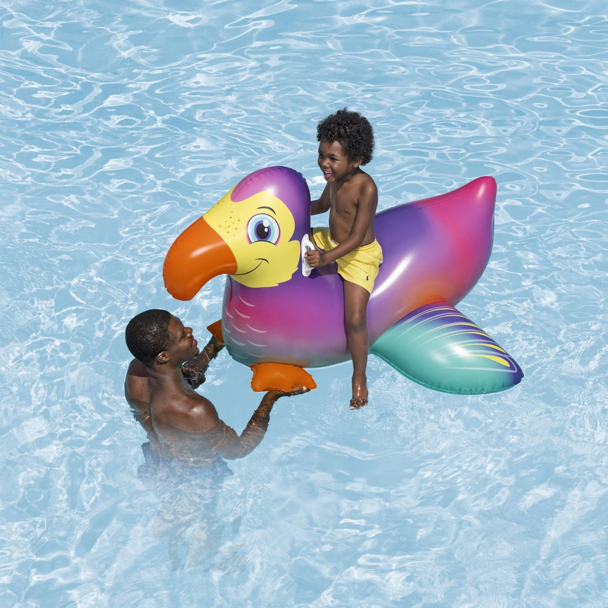 Inflatable Dandy Dodo Pool Float