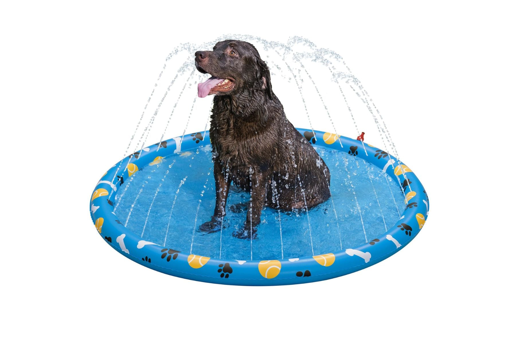 Fetchin' Fun Dog Sprinkler Splash Pad