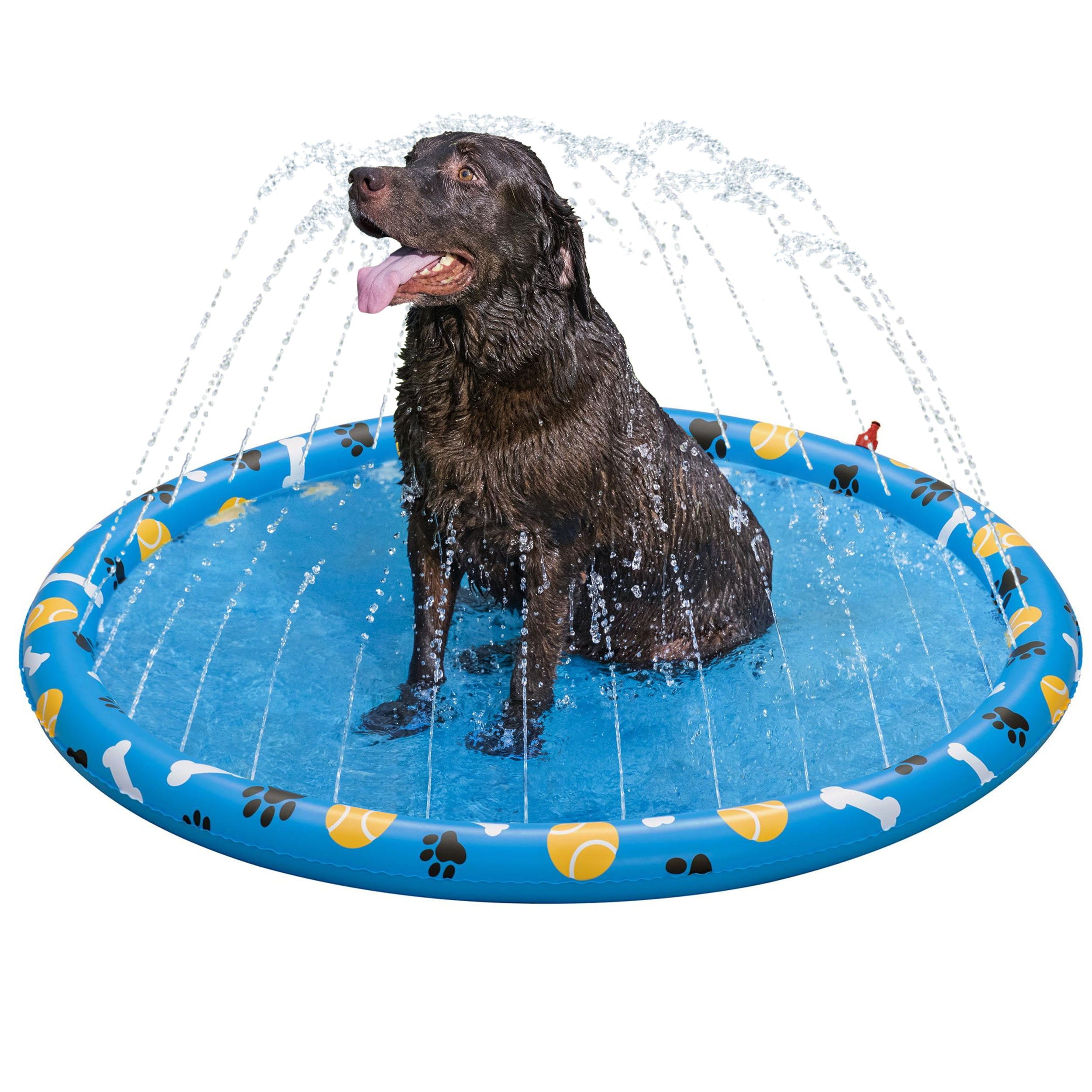 Fetchin' Fun Dog Sprinkler Splash Pad